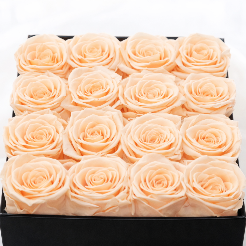 Small Square · 16 Blush Roses