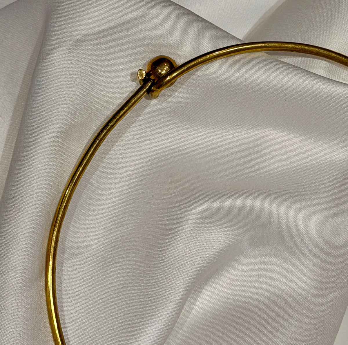 Fish Hansli Necklace